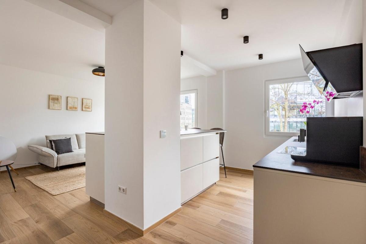 1 Bedroom Flat 55m2 In The Apartment Luxembourg
